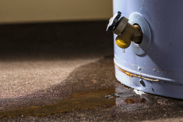 Best Sewage cleanup and water damage restoration  in Neillsville, WI
