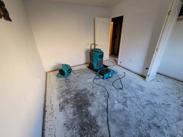 Best Carpet water damage restoration  in Neillsville, WI