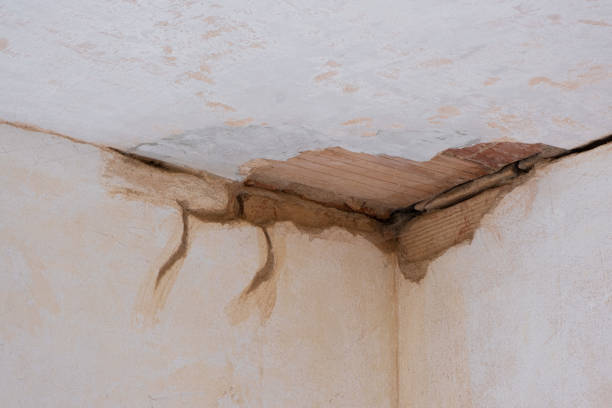  Neillsville, WI Water damage restoration Pros