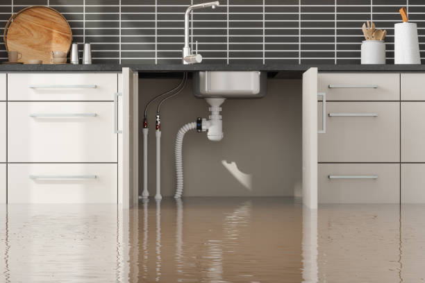 Best Flooded house restoration  in Neillsville, WI